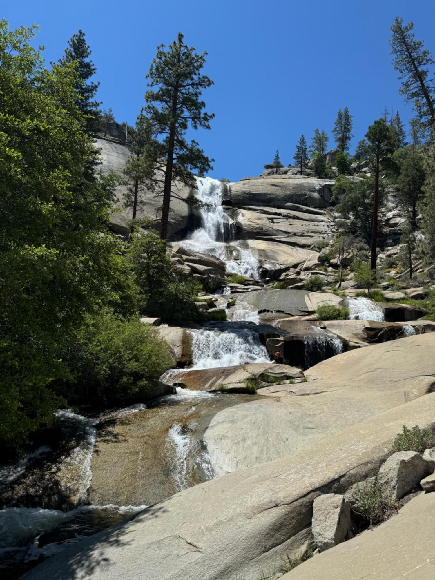 Peppermint Falls Ranch Ponderosa 外观 照片